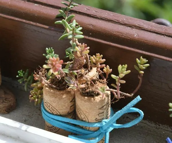 With Beautiful Sea View